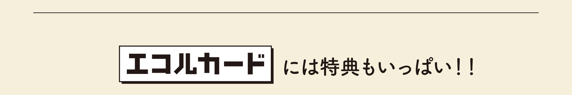 エコルカードには特典もいっぱい！！